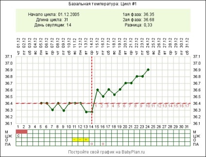 Definiția ovulation