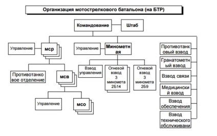 Structură organizațională, echipament militar și armament msb pe stadiul BT