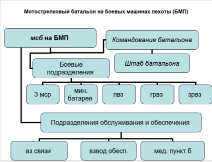 Organizarea și armarea batalionului cu pușcă motorizat (msb)