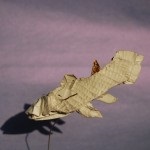 Origami și psihologia, calea către armonie