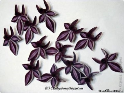 Orchideák papír a szakterületen Quilling