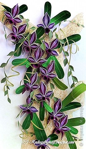 Orchidea technológia - Quilling, beatriche