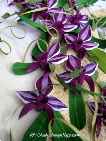 Orchidea technológia - Quilling, beatriche