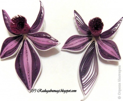 Orchidea technológia - Quilling, beatriche