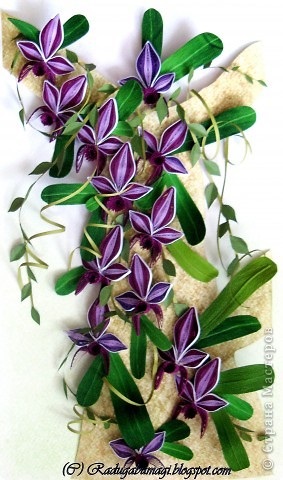 Orchidea technológia - Quilling, beatriche