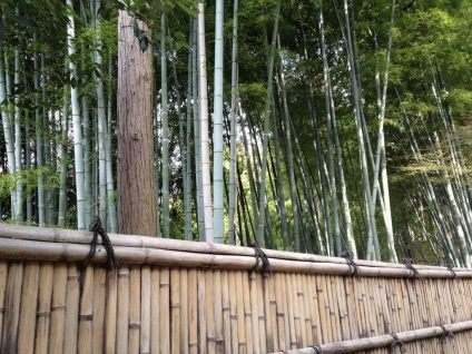 Vacanțe cu copii ginkakuji (pavilion de argint) în Kyoto - fotografie - vacanță cu copii singuri