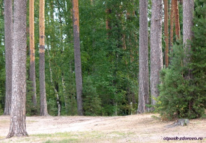 Nyaralás gyerekekkel nyáron a Volga