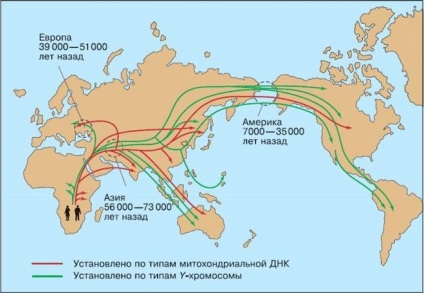 De unde a venit cursa Negroid?