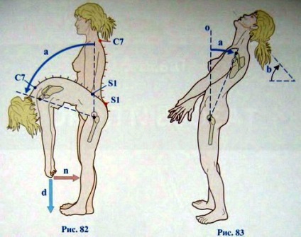 Evaluarea mobilității coloanei vertebrale, totul despre coloanei vertebrale