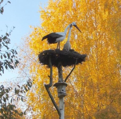 Pensiunea Lode (nou kladno) - comentarii, fotografii și compararea prețurilor