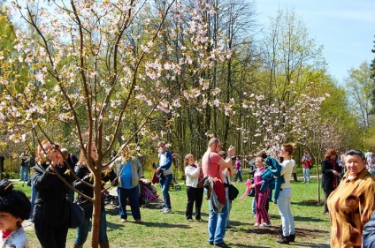 Park - Shashliching 10 cele mai bune locuri pentru un picnic la Moscova - Moscova 24