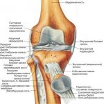 Fractura articulatiei genunchiului