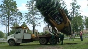 Transportul copacilor de dimensiuni mari cu un manipulator