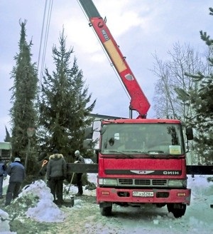 Transportul copacilor de dimensiuni mari cu un manipulator