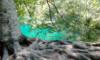 Lacurile Plitvice