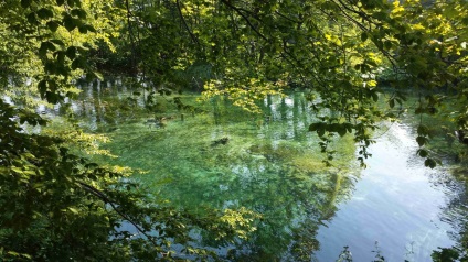 Lacurile Plitvice