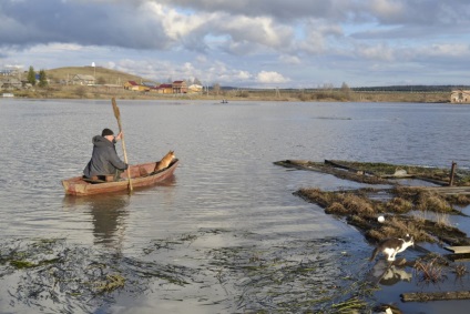 Miért nagyapja úszik egy hajó egy macska és egy kutya, blog greengrey, pin