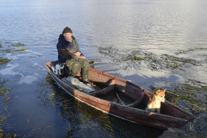 Miért nagyapja úszik egy hajó egy macska és egy kutya, blog greengrey, pin
