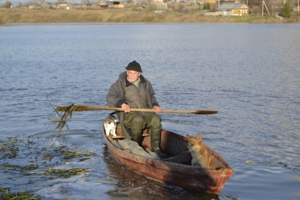 Miért nagyapja úszik egy hajó egy macska és egy kutya, blog greengrey, pin