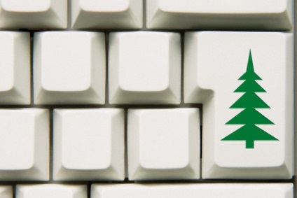 De ce trebuie să instalați doar un copac live de Crăciun