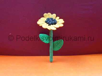 Floarea-soarelui din plastilină