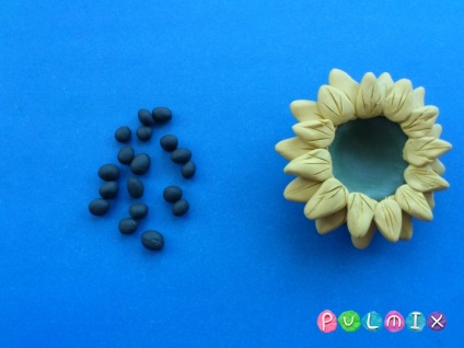 Floarea-soarelui din plasticină o lecție pas-cu-pas