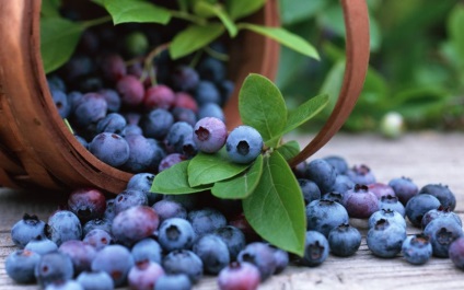 Beneficii de afine 10 motive pentru a adăuga fructe de padure la dieta ta - esti o zeita - un site care aduce fericire