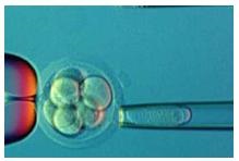 Diagnostic genetic preimplantare