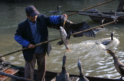 Ghid Yangshuo