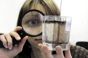 Distribuția bacteriilor în natură și semnificația lor