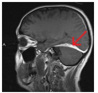 Centrul Regional de Diagnosticare - mrt, kt, tomografie, uzi