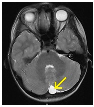 Centrul Regional de Diagnosticare - mrt, kt, tomografie, uzi