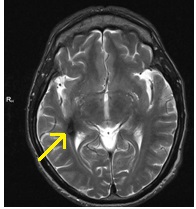 Centrul Regional de Diagnosticare - mrt, kt, tomografie, uzi