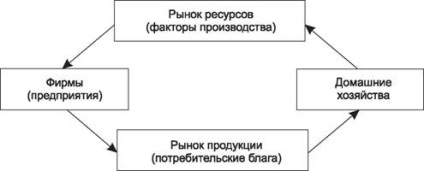 Piața ca un sistem de relații economice concept de piață