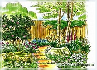 Grădină de mici îngrijire, un site despre o grădină, o reședință de vară și plante de apartament