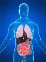 Simptomele cancerului intestinal - găsiți-le la timp