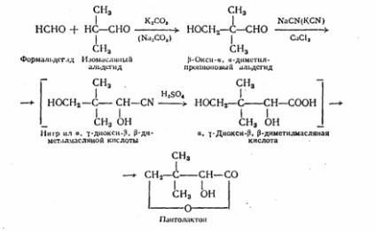 Sinteza pantolactonei - producerea de pantotenat de calciu sintetic (vitamina B3) - invata chimia,