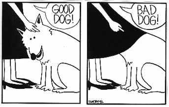 kutya humor