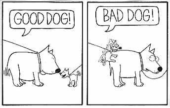 Câine umor