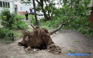 Interpretarea visului uraganului, interpretarea visului unui uragan, ce visează și ce înseamnă un vis, în care un uragan