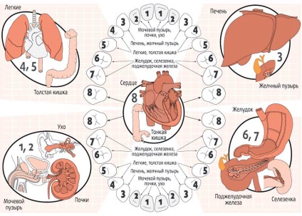 Starea dinților este o oglindă a sănătății întregului organism