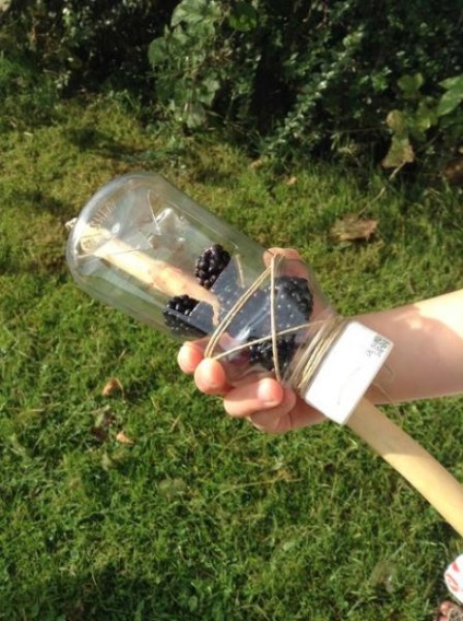 Scoop a szedés bogyókat, készült egy műanyag palack