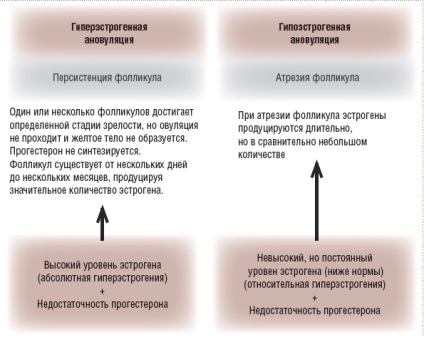 Diagnosticul modern și tratamentul sângerărilor uterine anormale