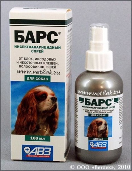 Spray de purici pentru uz interior, oameni și animale lecție de fotografie și video cum să trateze un câine de purici