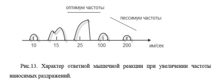 Structura mușchiului și mecanismul contracției musculare