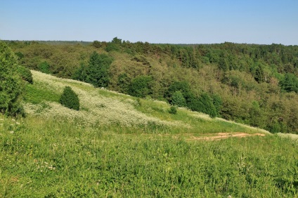 Szent tavasz és a kápolna a Tikhvin ikon az Istenanya a Ilyinsky