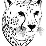 Tattoo ghepard valoare, fotografie și schițe