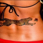 Tattoo ghepard valoare, fotografie și schițe