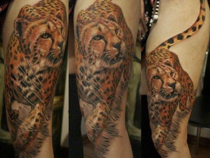 Tattoo ghepard - sens, schițe și fotografii de tatuaje