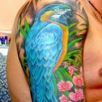 Tatuajele papagalilor